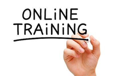 What Do We Want in Online Training?